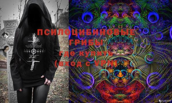 PSILOCYBIN Алексин
