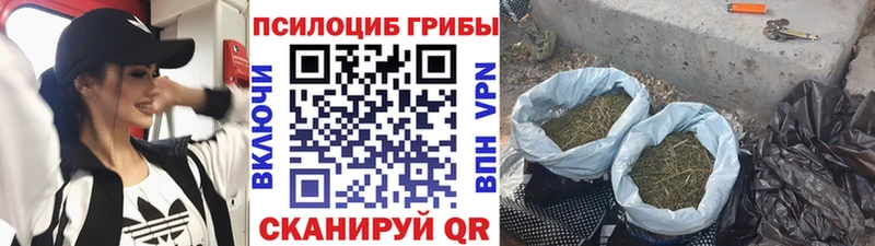 Галлюциногенные грибы Magic Shrooms  Кизилюрт 